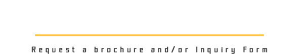 グローバルビジネスコース